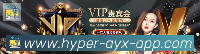 未来规划
